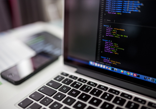 Web development
